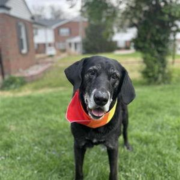 We love Captain too