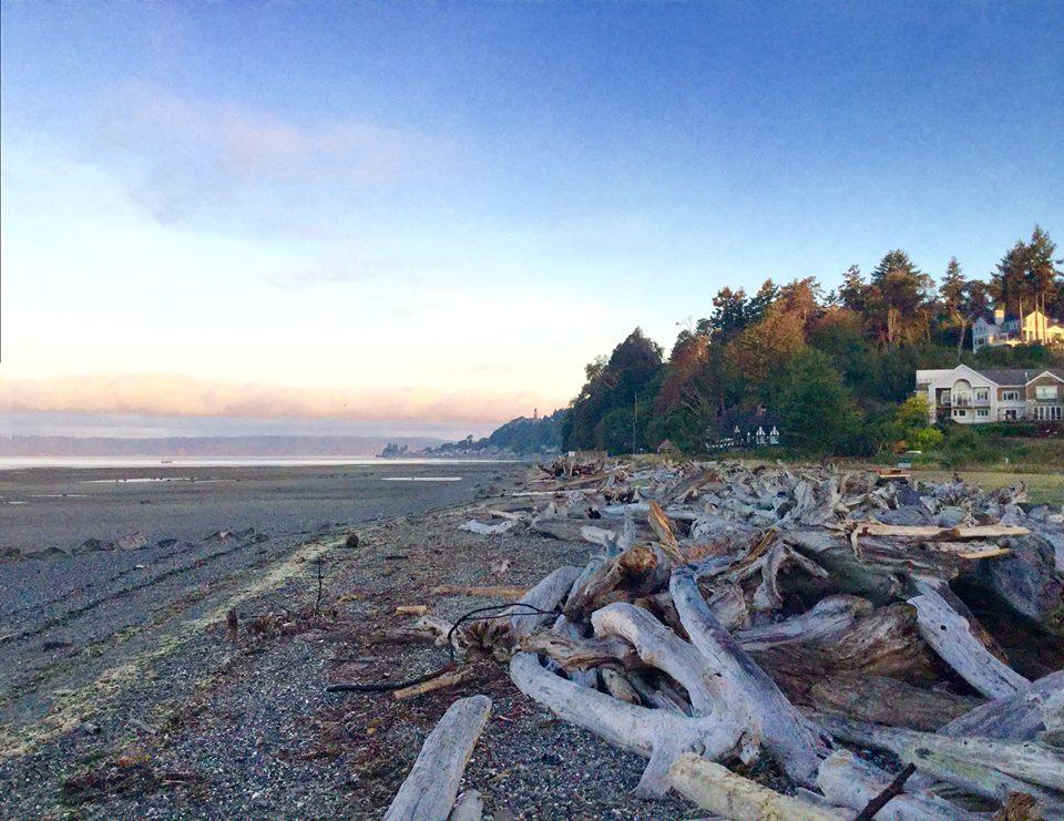 The Wedding Website of Savanna Pitman and Mitchell Henry