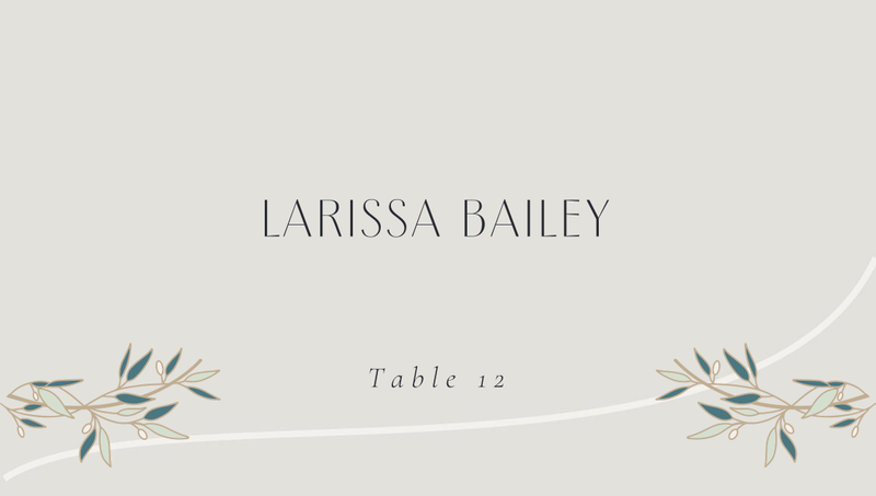 Stefana | Sage Mist | Zola Wedding Place Cards