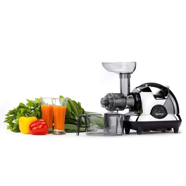 Kuvings® Masticating Slow Juicer in Chrome