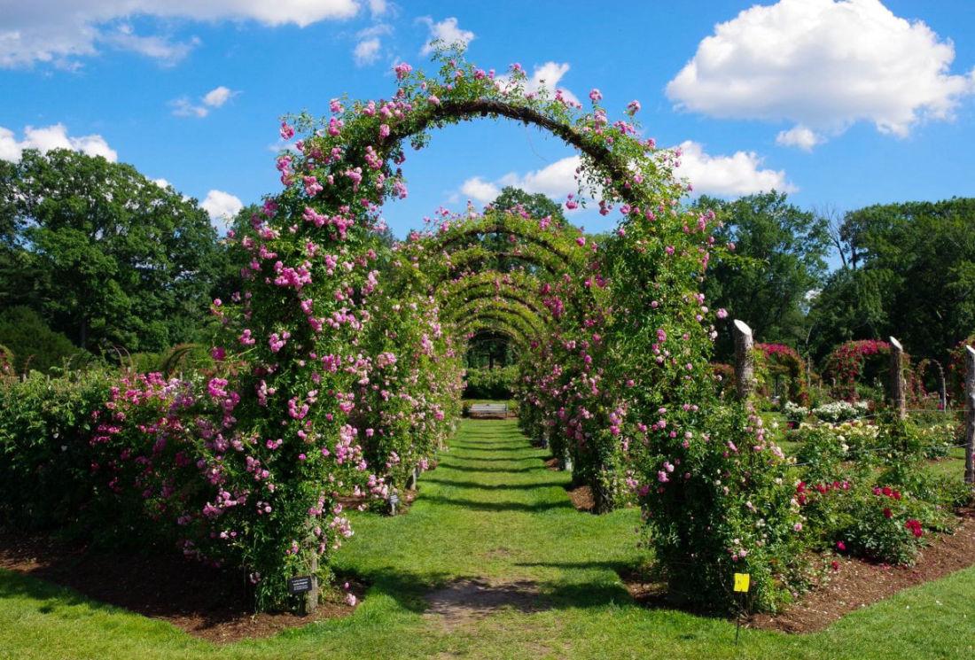 The Wedding Website of Liliana Silva and James Bradshaw