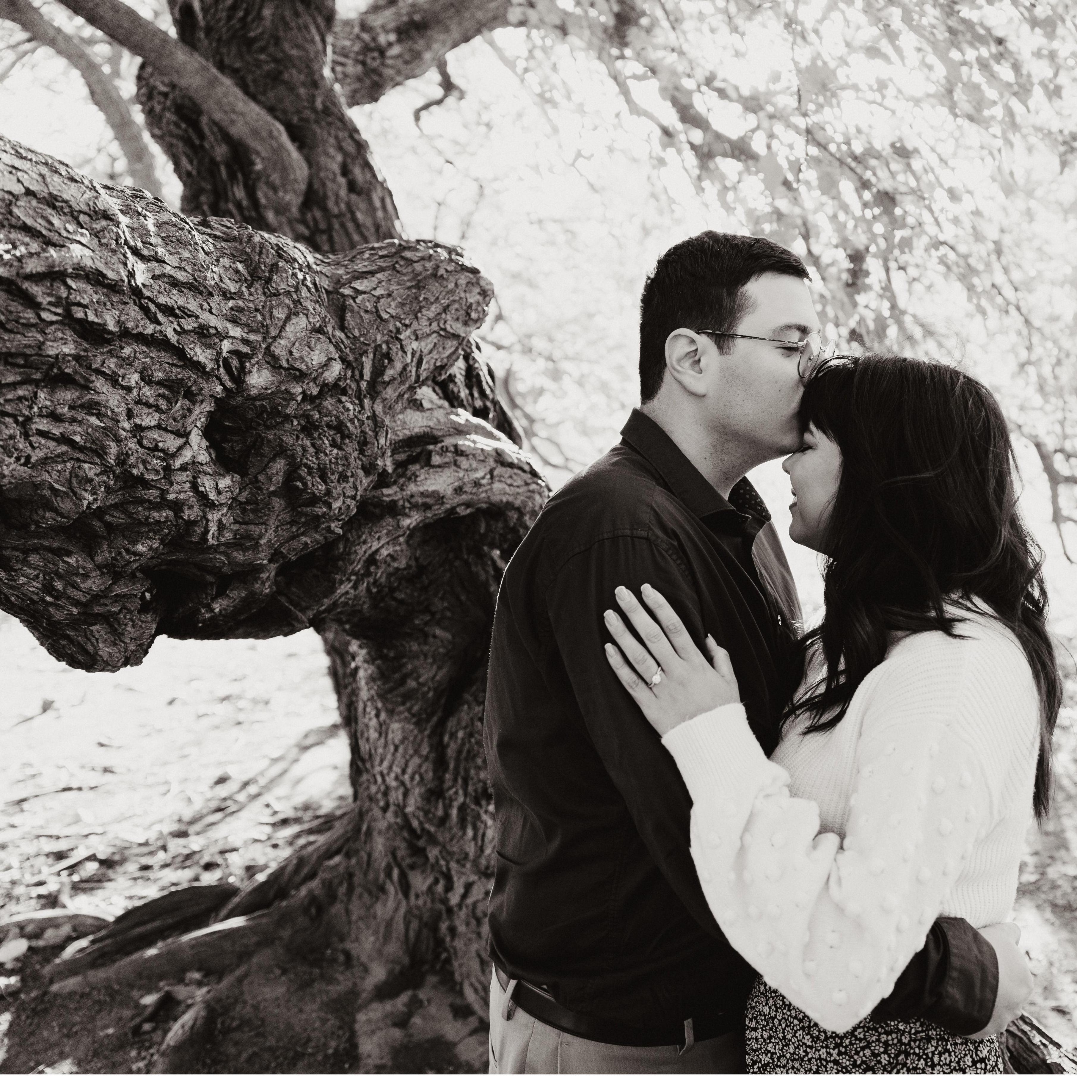 This is where we got engaged. Oz found this very pretty tree to sit under and ask me to marry him <3