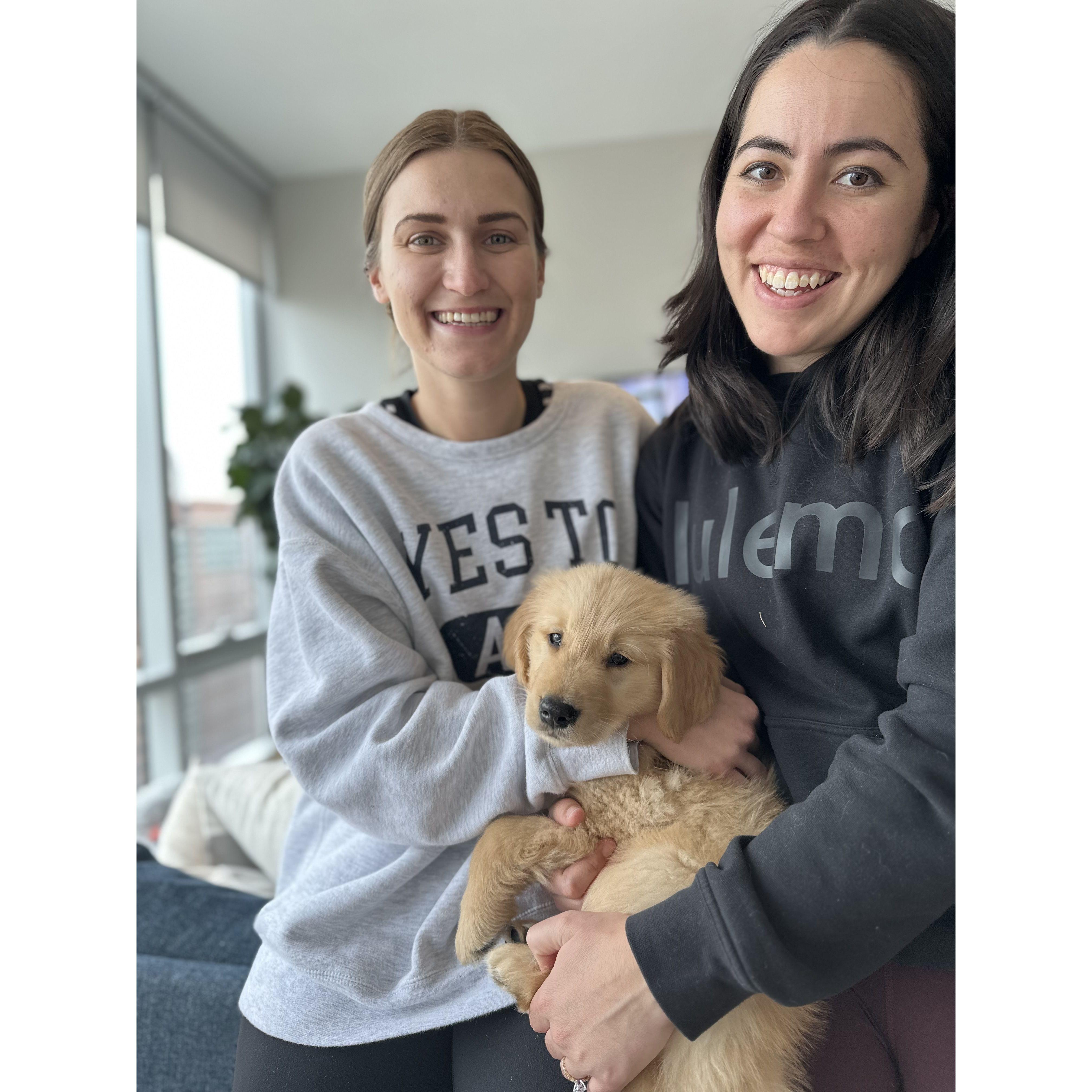 The day we got Bogey!