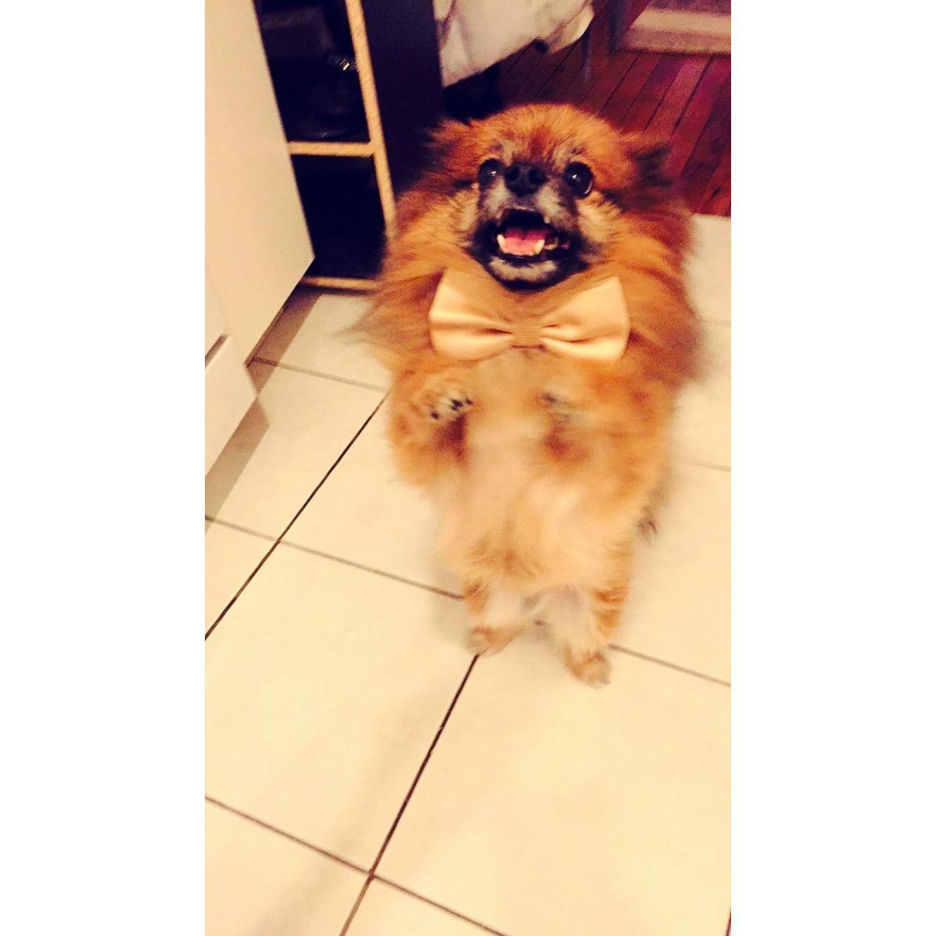 And here is the most dapper boy we ever did see!!
