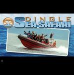 Dingle Sea Safari