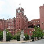 Budweiser Brewery Experience