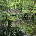 Japanese Garden