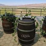 L.A. CETTO - Boutique Valle de Gpe.