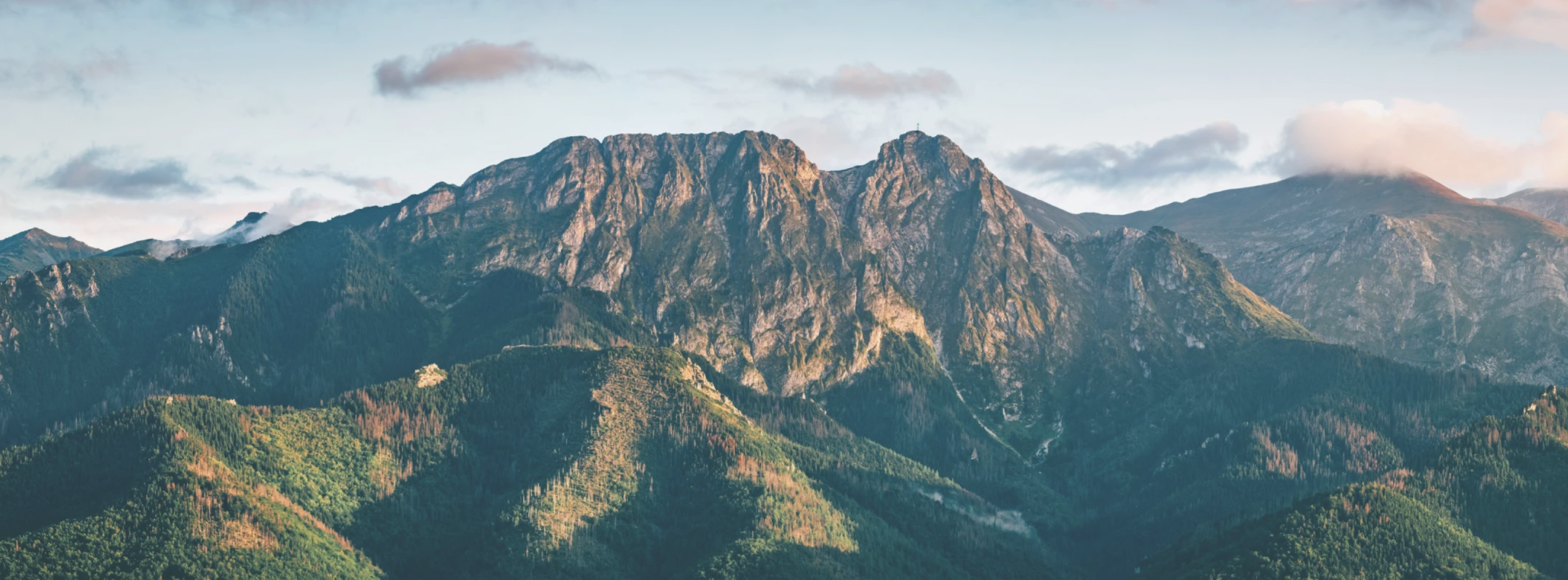 The Wedding Website of Żaneta Szambelan and Omar Suleiman