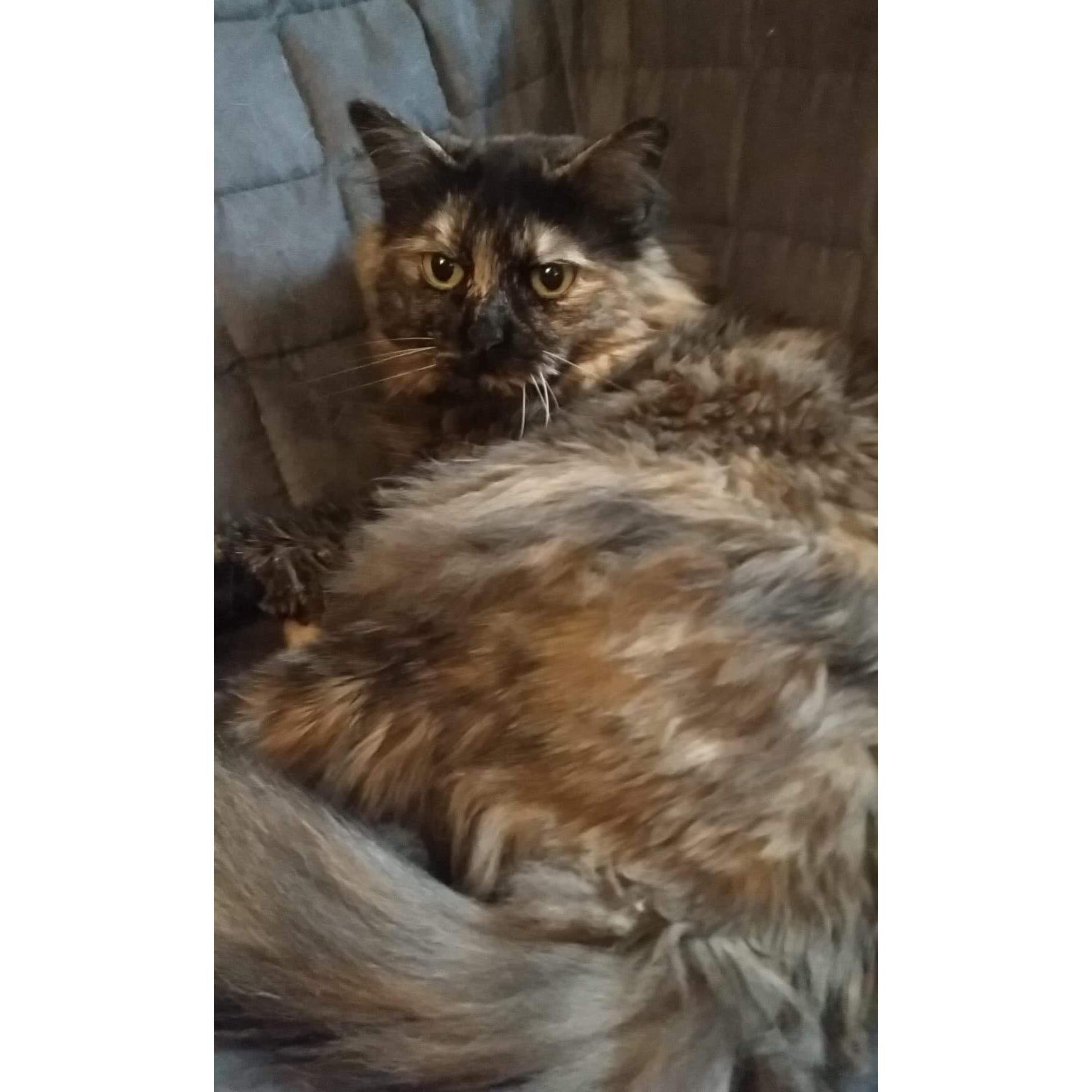 And one girl.  Our princess, Paisley.