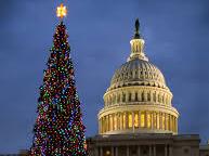 Capitol Hill Christmas Tree