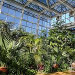 The State Botanical Garden of Georgia