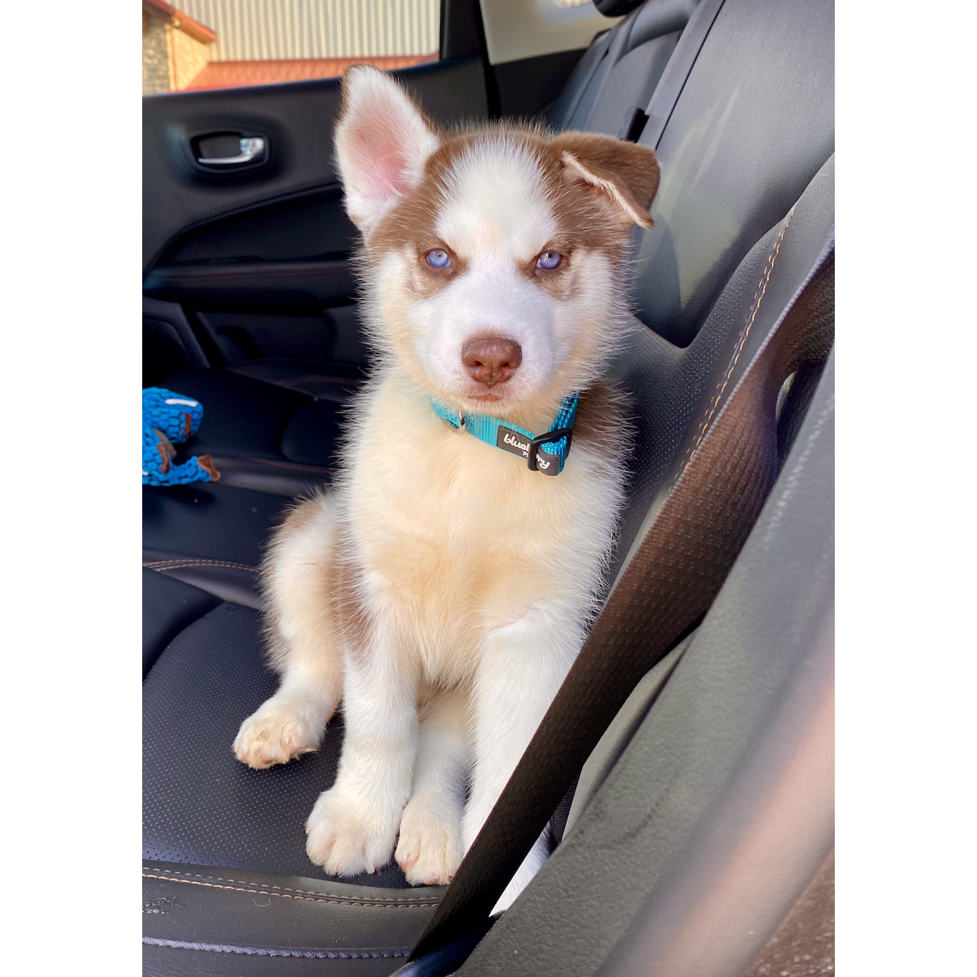 Baby Lex!