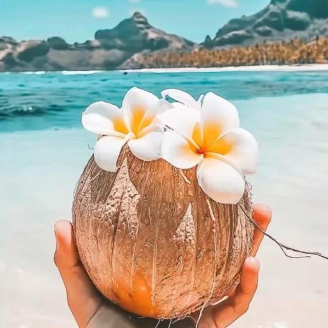 Our Honeymoon Fund