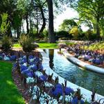 The Dallas Arboretum and Botanical Garden