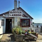Lobster Landing