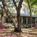 Charleston Tea Garden