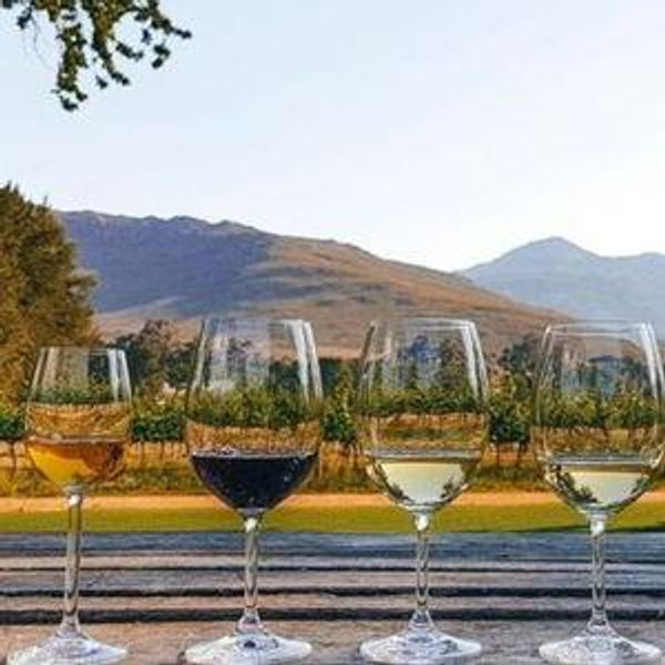 Bike Ride Wine Tasting Tour - Cape Winelands