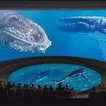 Aquarium of the Pacific