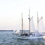 Afternoon Schooner Sightseeing Dolphin Cruise on Charleston Harbor