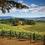 Willamette Valley Wine Country