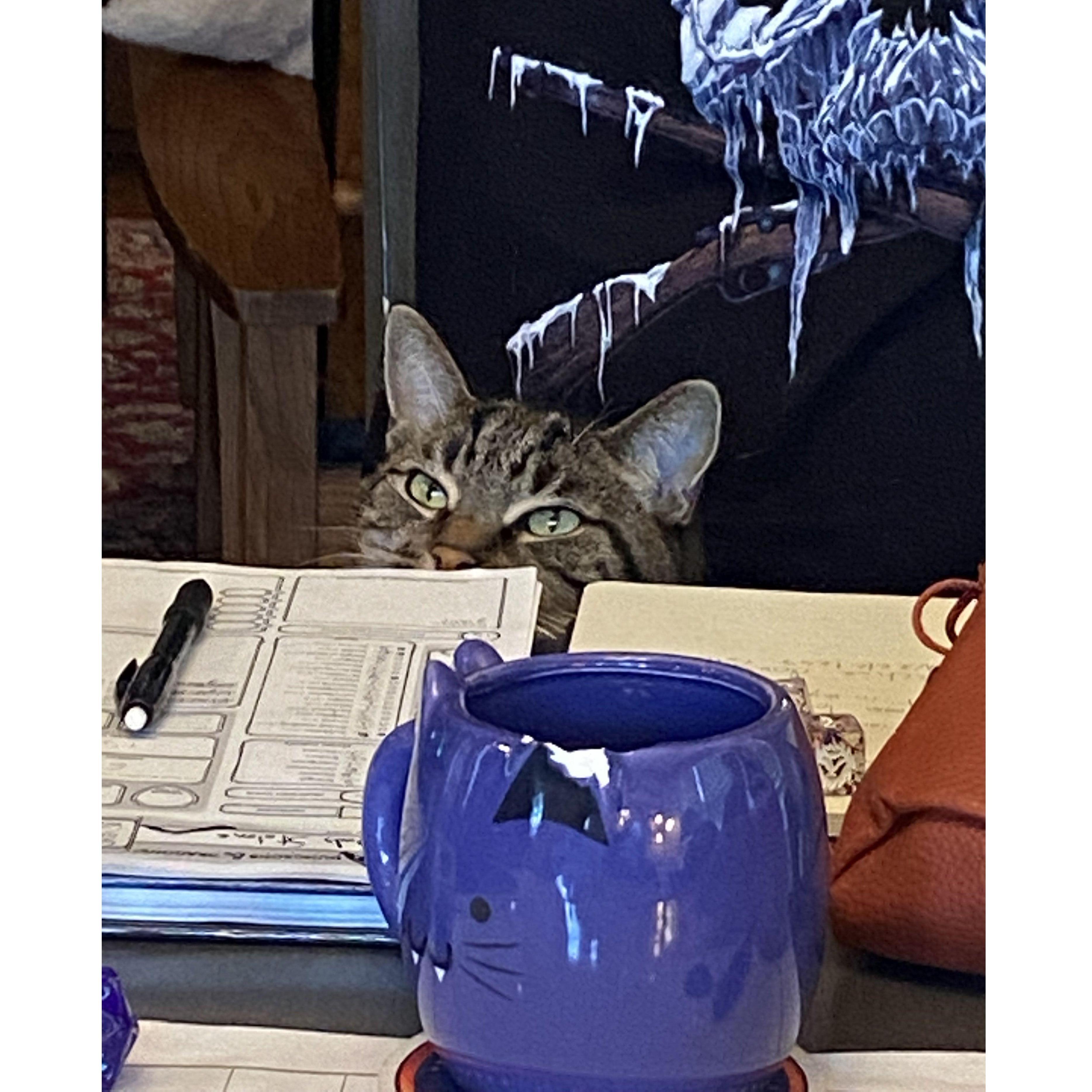 Our son Oscar steals Andy’s job as DM and plots a reign of terror