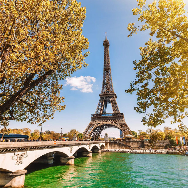 Dinner in Paris