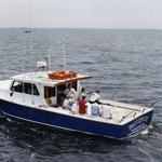 Patience Sportfishing