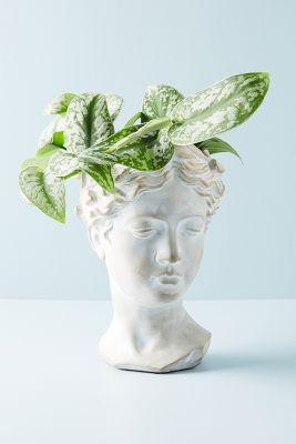 Grecian Bust Pot