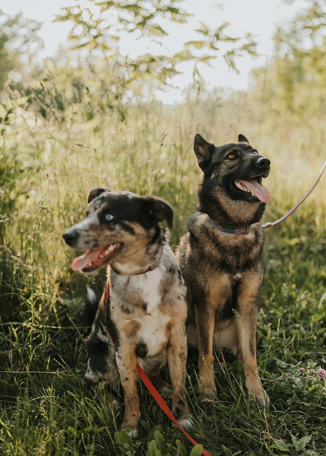 The Wedding Website of Christina Toth and Travis Neal