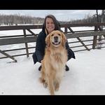 University Lake Dog Park