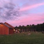 Arrowood Farms