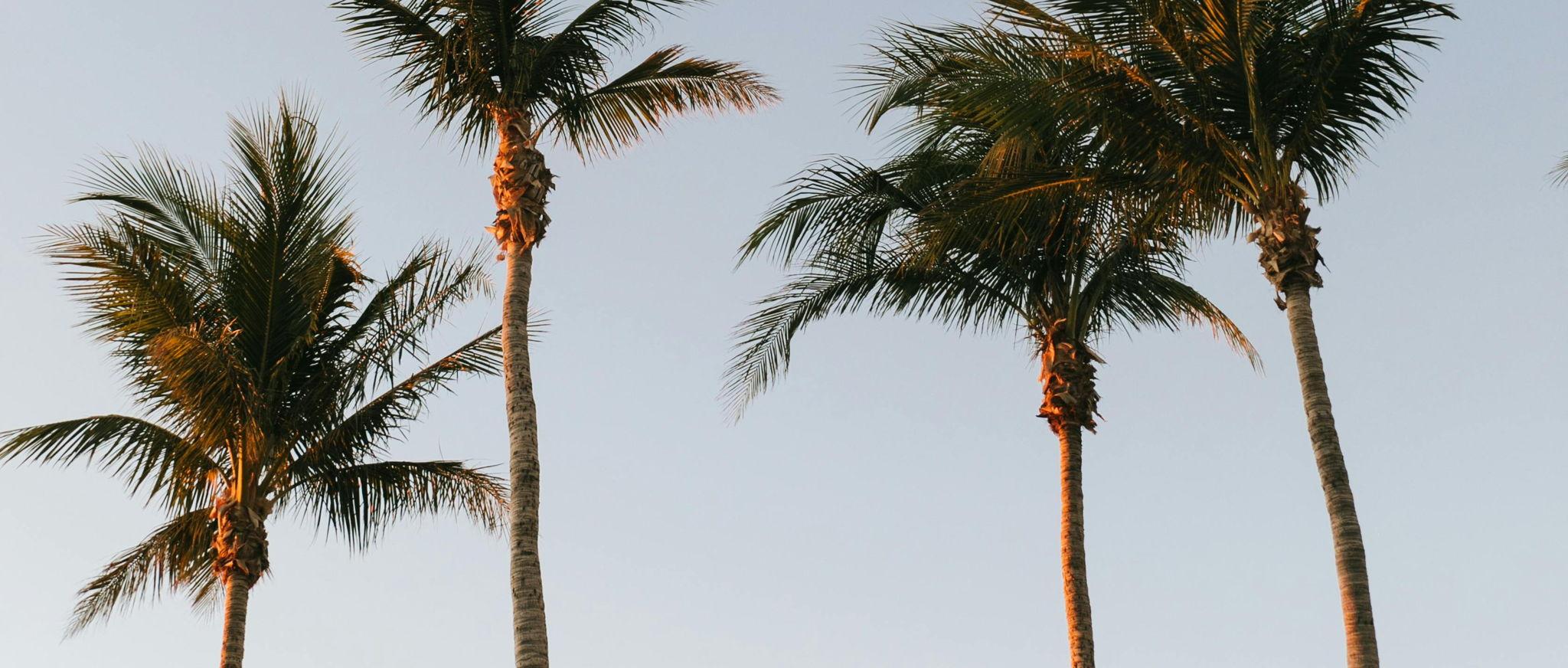 The Wedding Website of Kristen Sugihara and Devin Choi