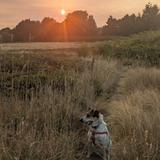 Discovery Park