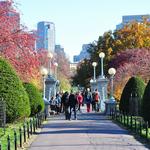 Boston Public Gardens