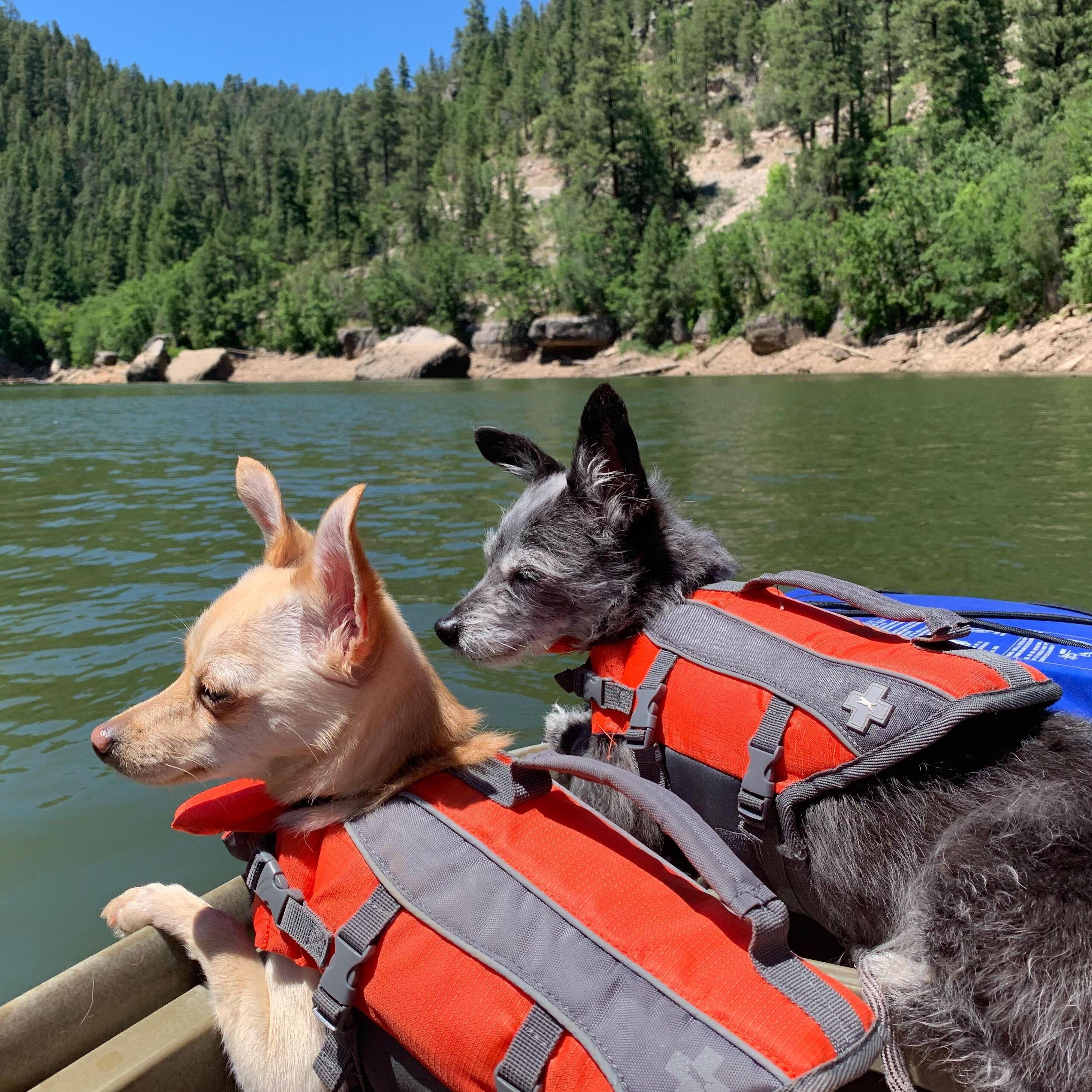 Happy Jack, AZ