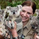 Currumbin Wildlife Sanctuary