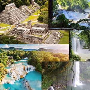 Jungle & Mayan Ruins Tour (Chiapas, Palenque)!