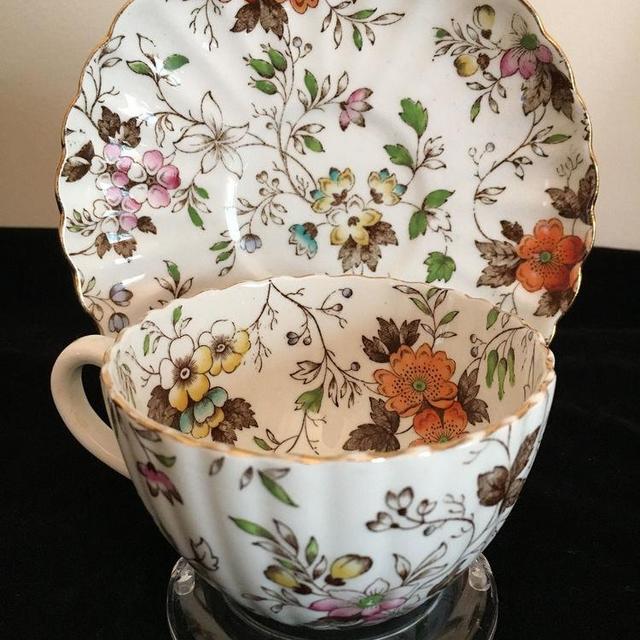 Vintage Radfords Fenton Bone China Cup and Saucer "The Gatineau"