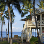 Kona Haven Coffee