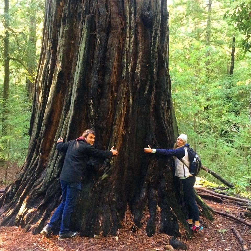 Just hugging mother nature in the redwood forest!