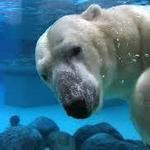 Lincoln Park Zoo
