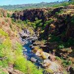 Upper Bidwell Park