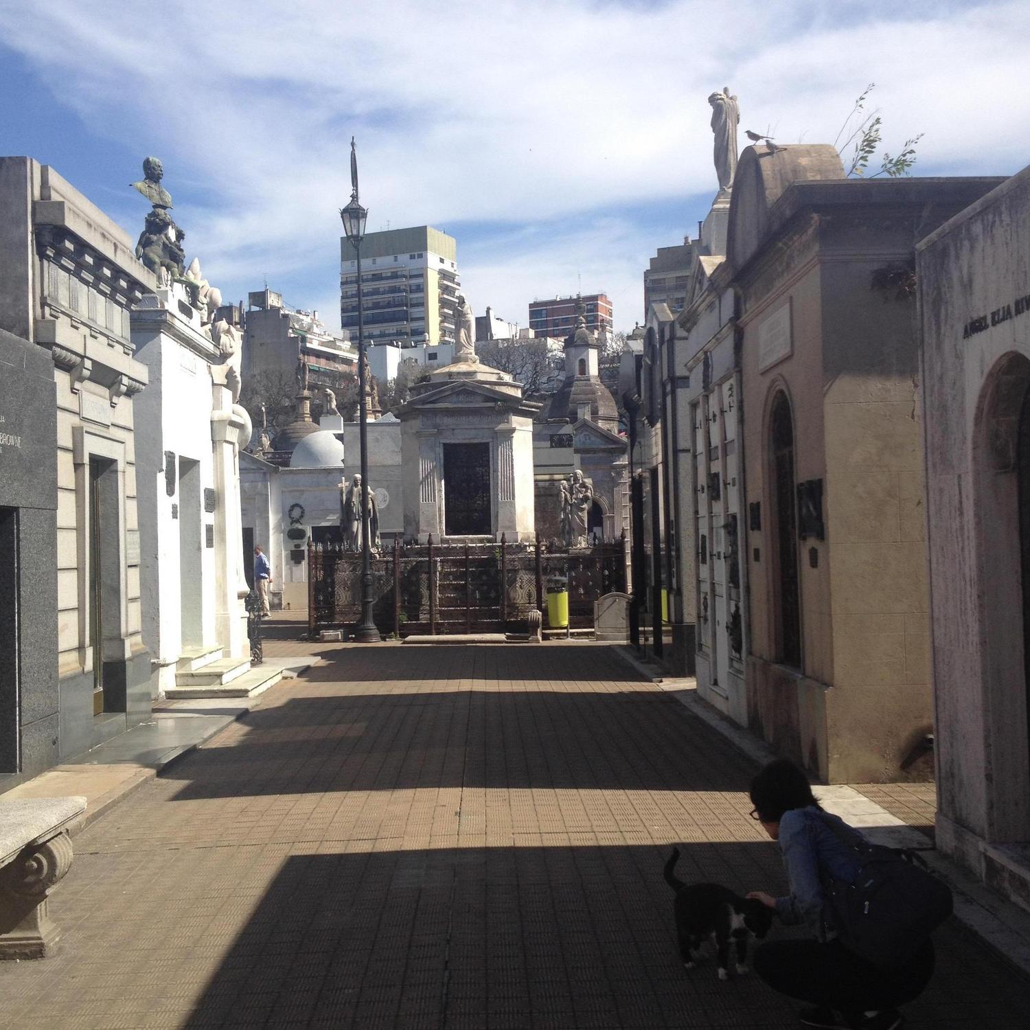 The famous old tombs in Buenos Aires. Where we were going in the car.