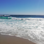 La Jolla Shores Beach