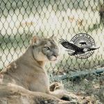 Busch Wildlife Sanctuary