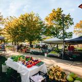 Hamilton Farmer's Market