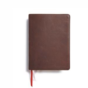HIS bible (he reads truth bible)