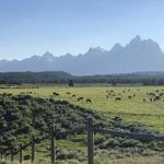 Grand Teton National Park