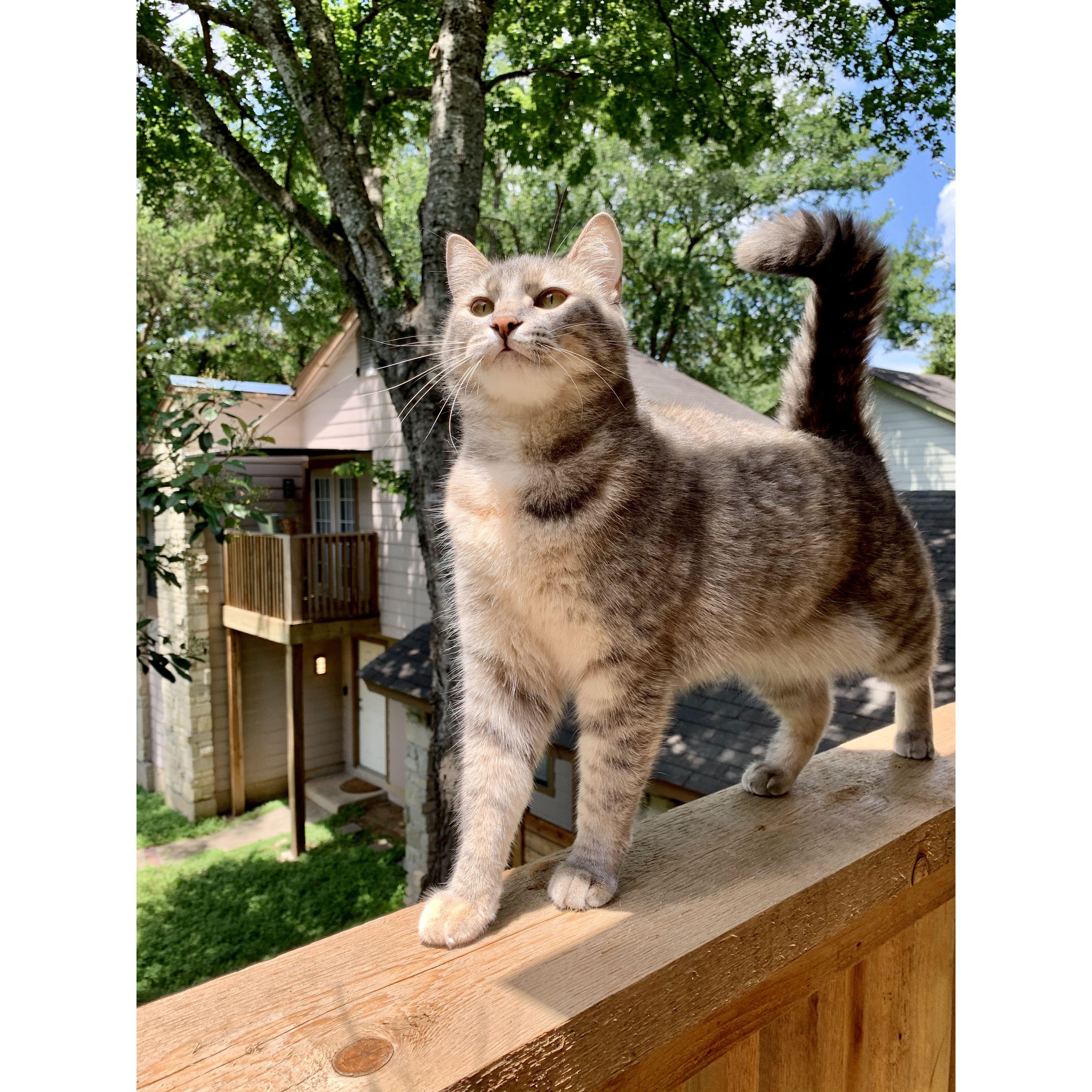 They also adopted a sweet little queen named Mika!
